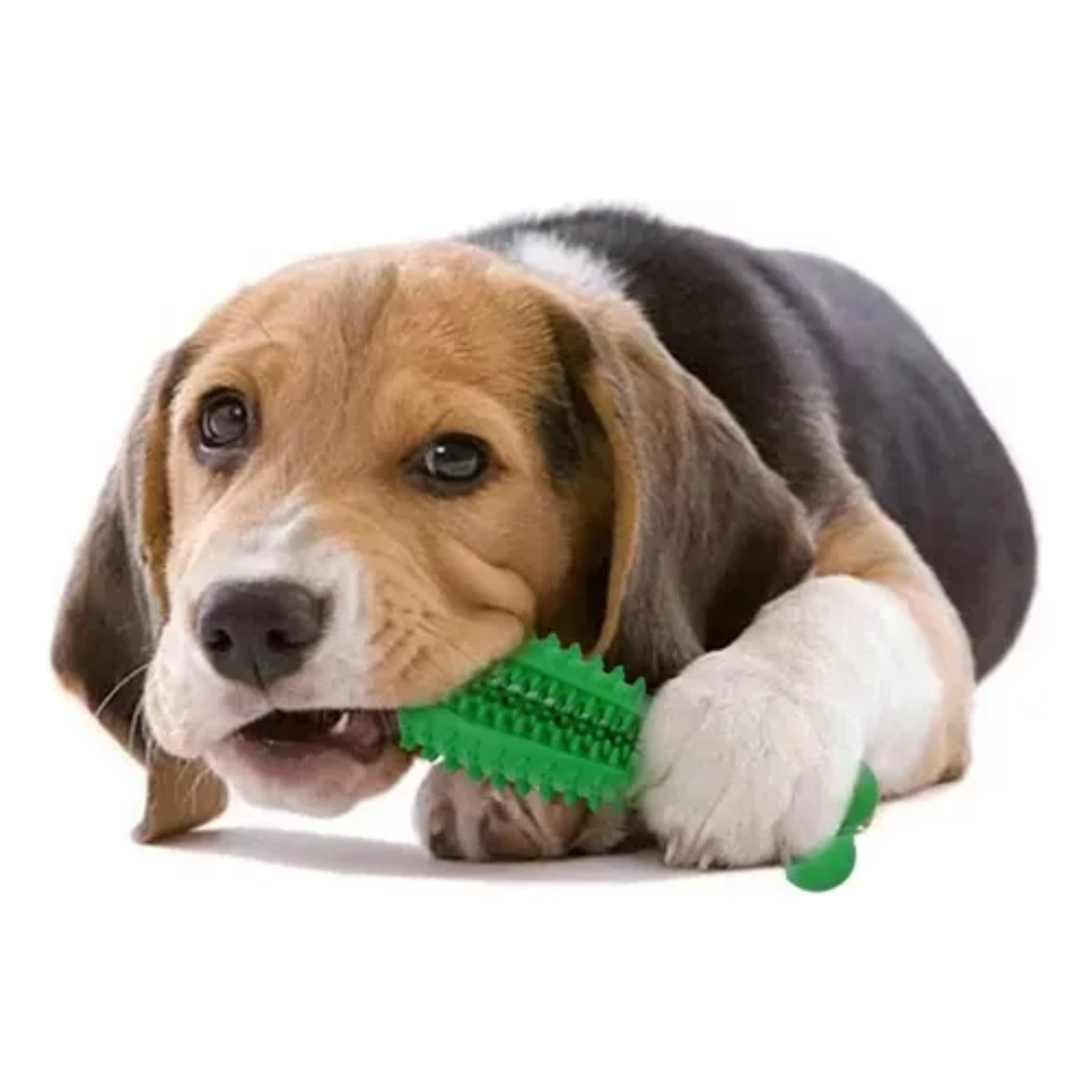 Cepillo Dientes Para Mascotas